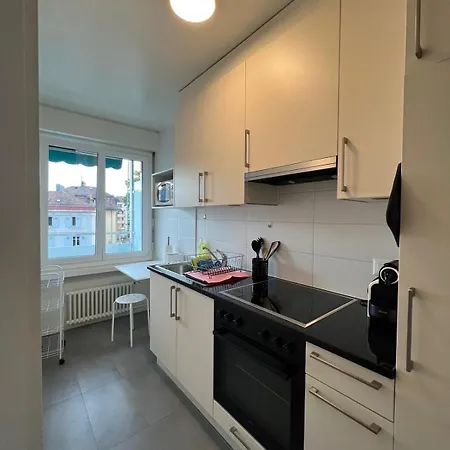 Charming Near The Geneva Appartement