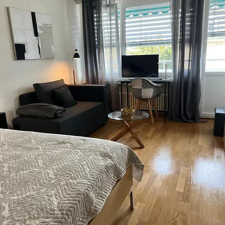 Charming Near The Geneva *