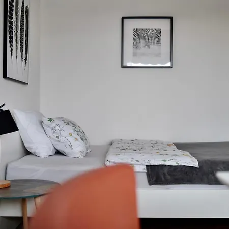 Charming Near The Geneva Appartement