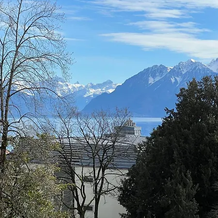 Charming Near The Geneva Apartment